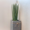 같은마음정신건강의학과의원 이미지