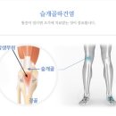 연세든든척의원 이미지
