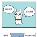 별주부전 이미지