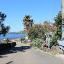 제주 올레길 7코스 이미지