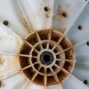 대우세탁 이미지