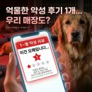 오롯이;독 | 애견유치원 원장님들, 우리 제발 '억울하게' 폐업하지 맙시다 (가드독 무료 배포 이유)