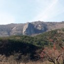 산내골농장 이미지