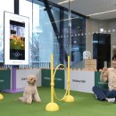 펫필드 동물병원 이미지