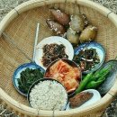 엄니밥상 Daum카페