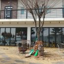 백인더처치