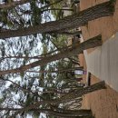 영월한반도지형 | 영월 한반도지형·별마루천문대 코스 실패 후기 – 청룡포 대기 후 일정 무너진 이유와 예약 필수 팁 정리