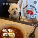 남성동창회관 | 충격!! 일상이 야구 보고 고기 먹는 것밖에 없는 사람이 있다??