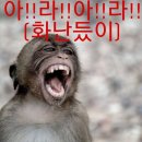 성아유치원 | 대학교 4학년 드디어 막 학기 종강을 완료했습짭째요. 박수 갈채를 갈구합니다.