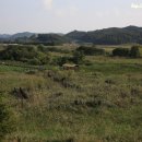 갈대습지공원 이미지