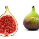 핏디렉터 프라이빗 PT스튜디오 이미지