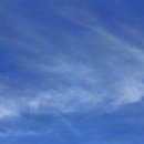 맑음그린 이미지