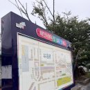 서부로 | 태안 서부시장 회포장 정든수산, 광어회+멍게+매운탕 내돈내산 후기