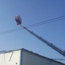 성림축산 이미지