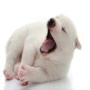 25시동물병원 이미지