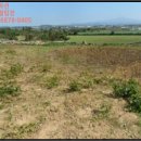 대정읍-2 이미지