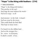 #74 hope is the thing with feathers 이미지