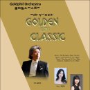 두 번째 연주회 이미지