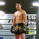 와이 미디어