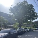 전주 갤러리카페 [양화소록]