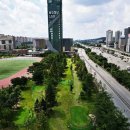 수지아르피아 이미지