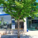 쉐보레 대덕밸리 이미지