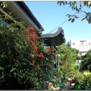 청죽교회 이미지