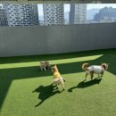미똥이최고야