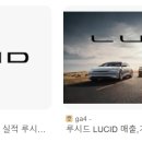 미미고점 이미지