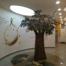 문막(강릉) 이미지