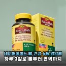 건강메이드