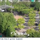 부산클래식음악제7 노컷뉴스