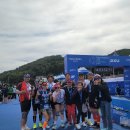 잘하자 돼지야 이미지