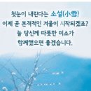 소설/小雪 이미지