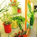 우리집 거실에 어울리는 식물 고르는 방법 이미지