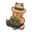 농부원예
