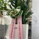 휘트니스칸 백석점 이미지