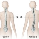 다빛 필라테스 압구정점 이미지