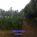제주중앙부동산공인중개사사무소 이미지