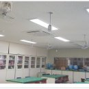 창포초등학교 Daum카페