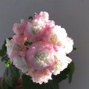 태만농장 이미지