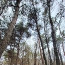 수원-1202 이미지