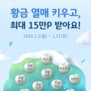 패널커피