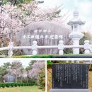 중문동-4 이미지