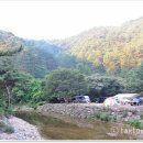 위정캠핑장 이미지