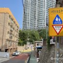 주정차단속-62 이미지