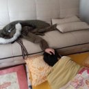 오빠PC 이미지