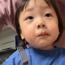 한중정육점 | 발뮤다플레이트 찐후기+육아 일상기록+태국 콩알치약
