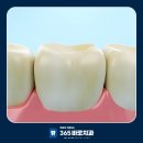 새하얀미소치과의원 이미지