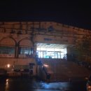 진양호캐리비안 이미지